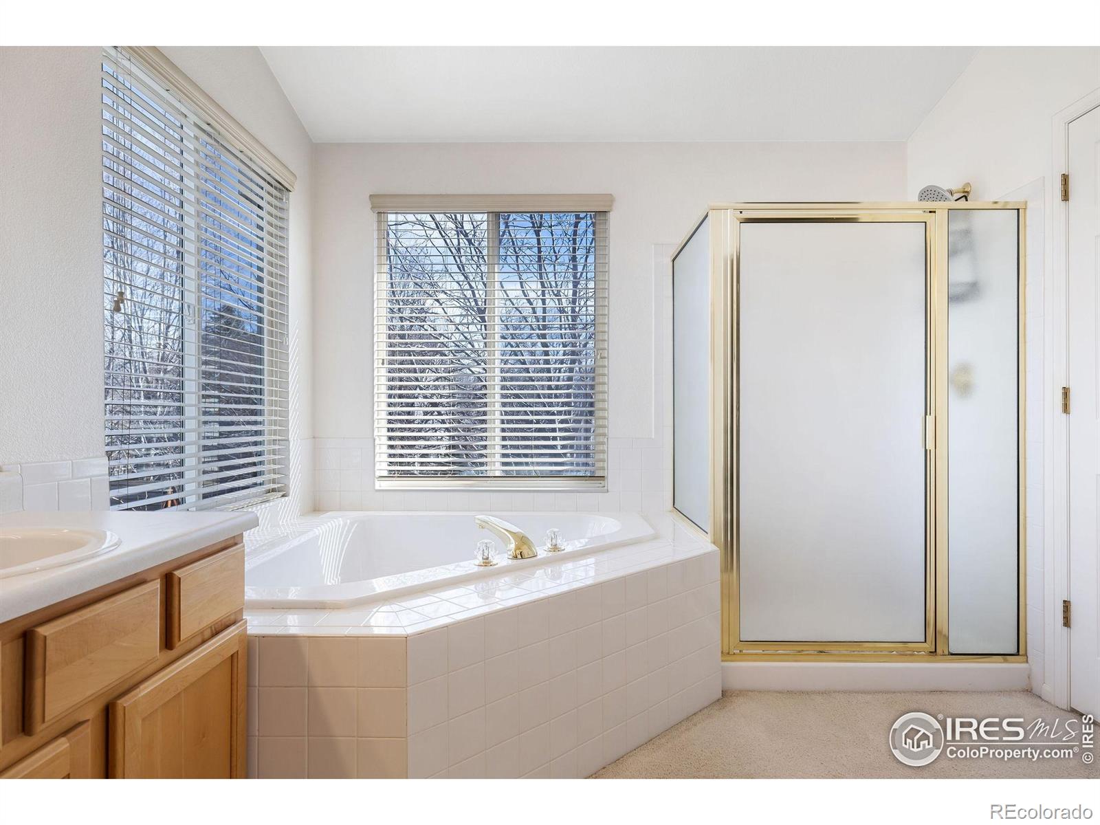 1889 Hauck Street Erie CO 80516