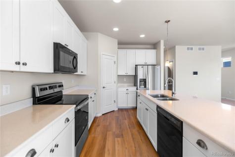4505 Cholla Trail Castle Rock CO 80104