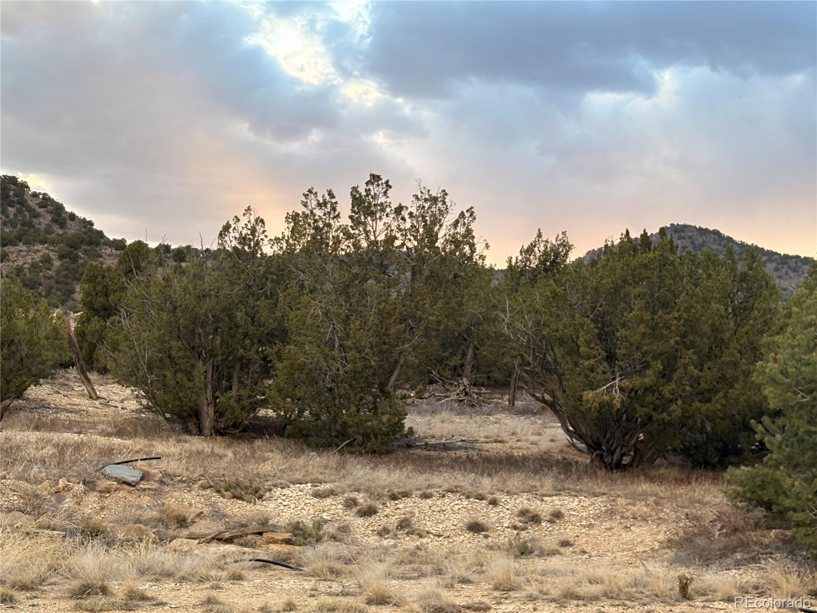 282 Meadowdale Lane Canon City CO 81212