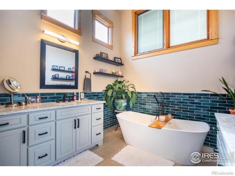1933 Dominica Court Windsor CO 80550