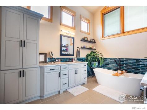 1933 Dominica Court Windsor CO 80550