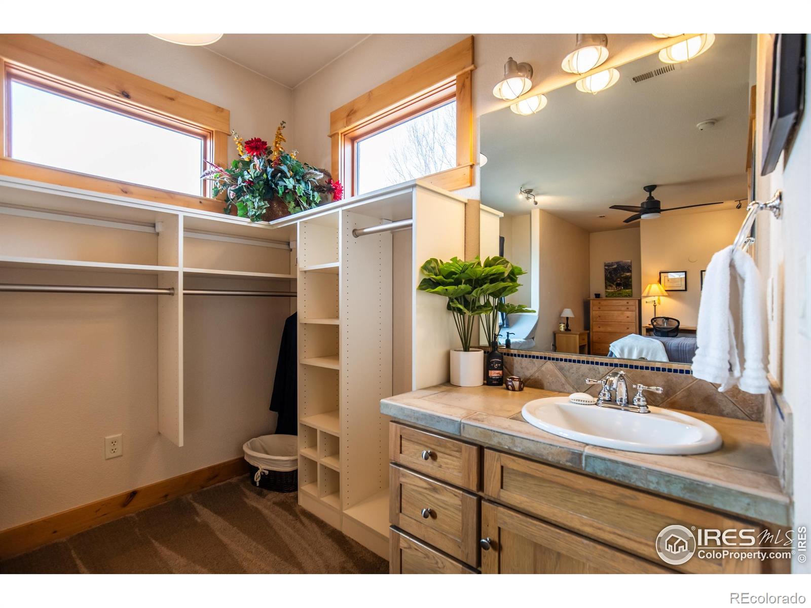 1933 Dominica Court Windsor CO 80550