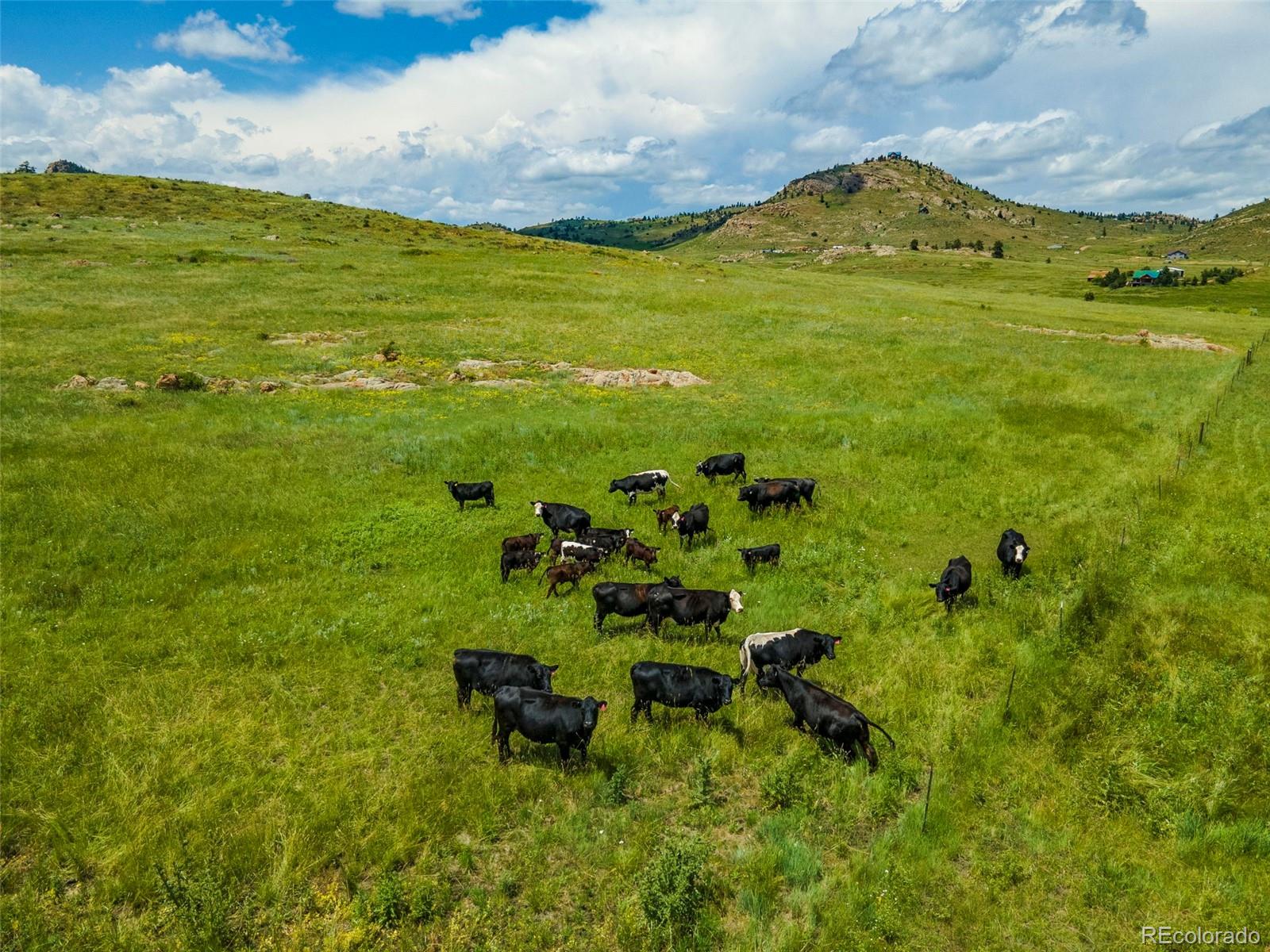 11881 W County Road 74e Livermore CO 80536