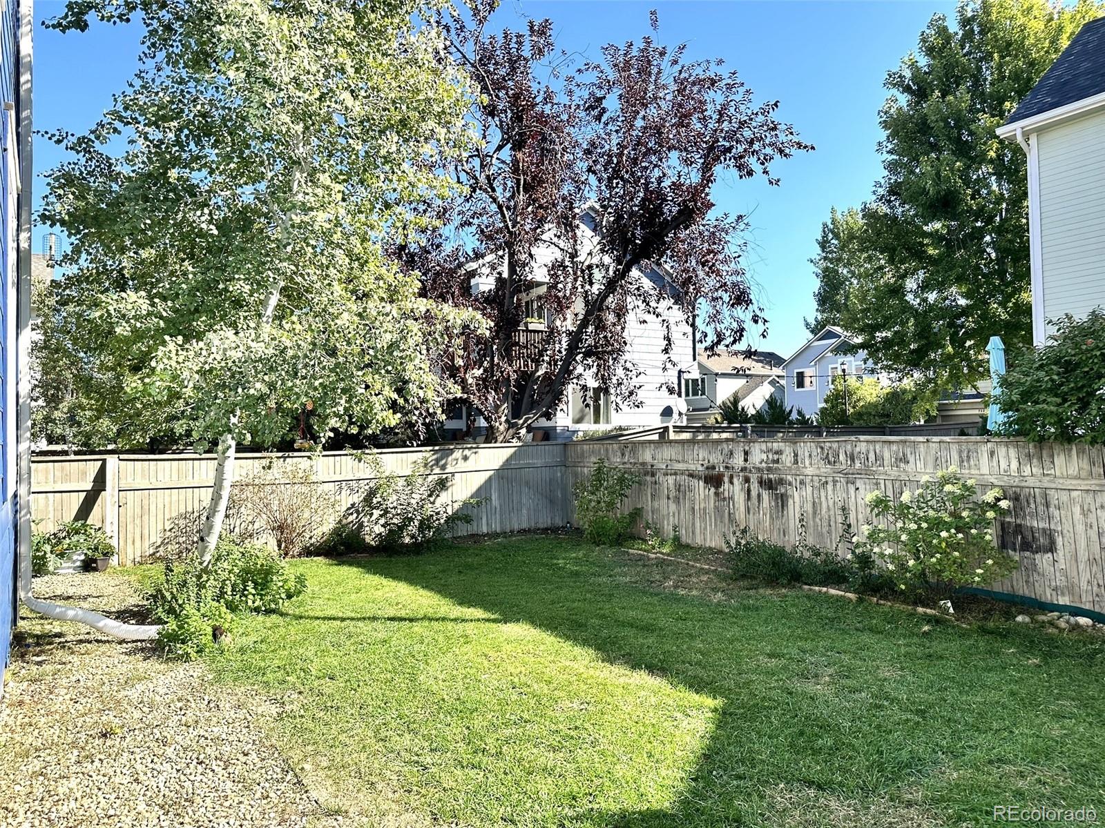 742 Arrowood Street Longmont CO 80503
