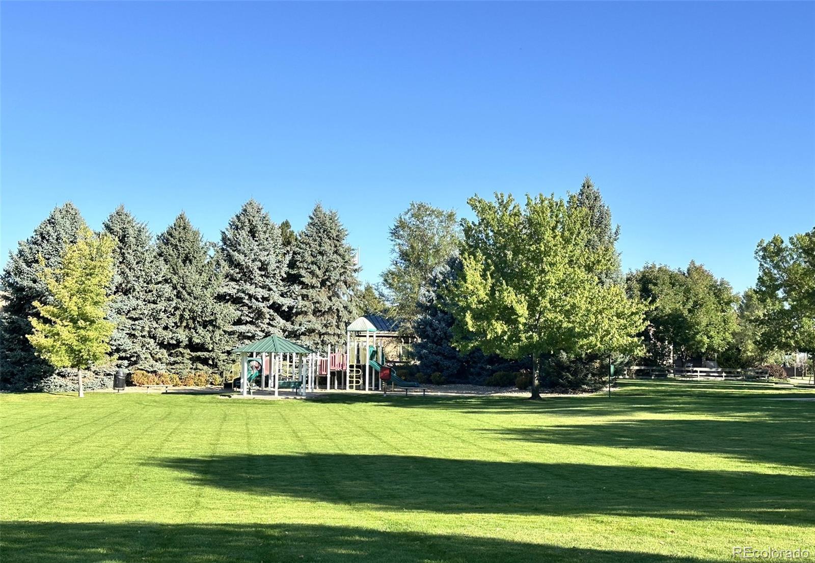 742 Arrowood Street Longmont CO 80503