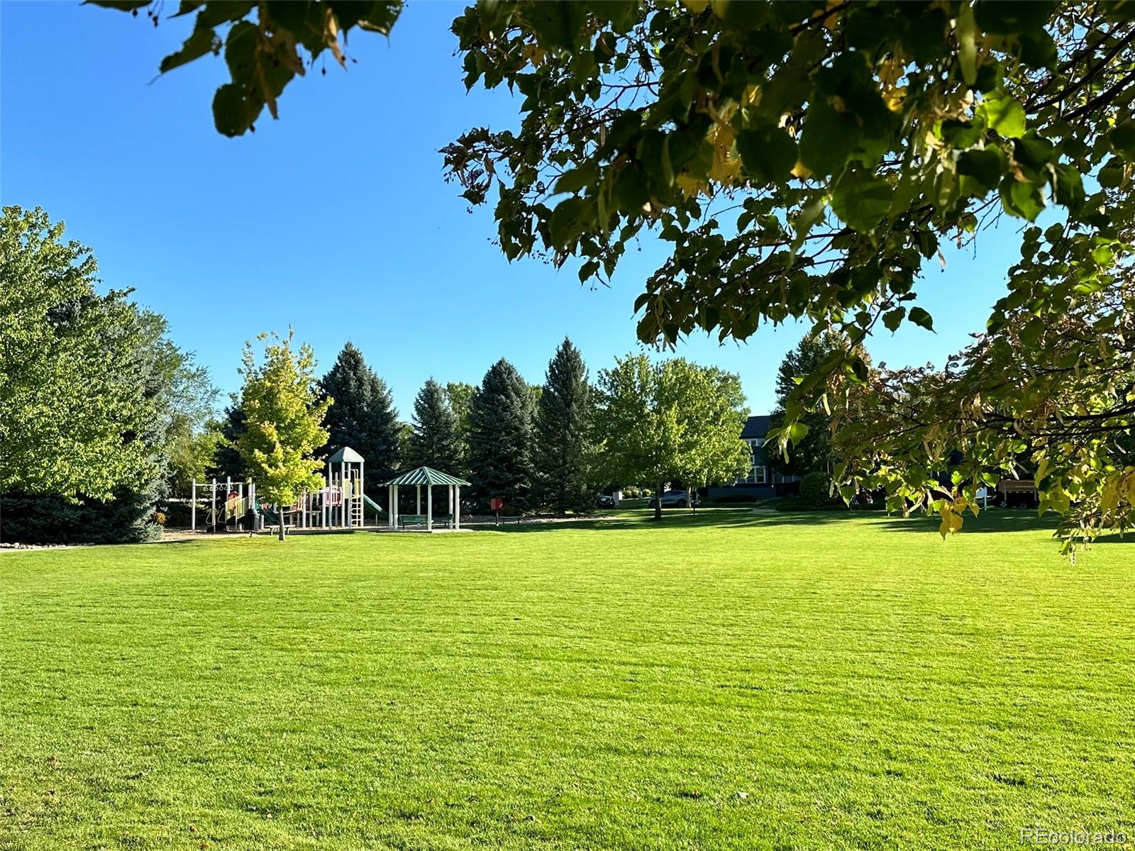 742 Arrowood Street Longmont CO 80503