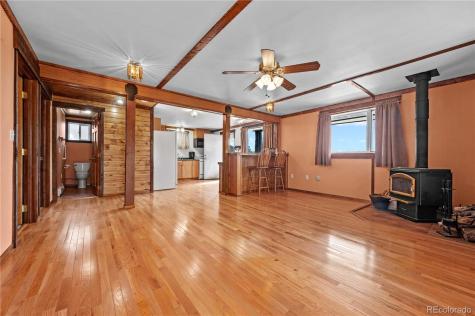 92 Carpenter Trail Cotopaxi CO 81223