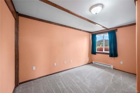 92 Carpenter Trail Cotopaxi CO 81223