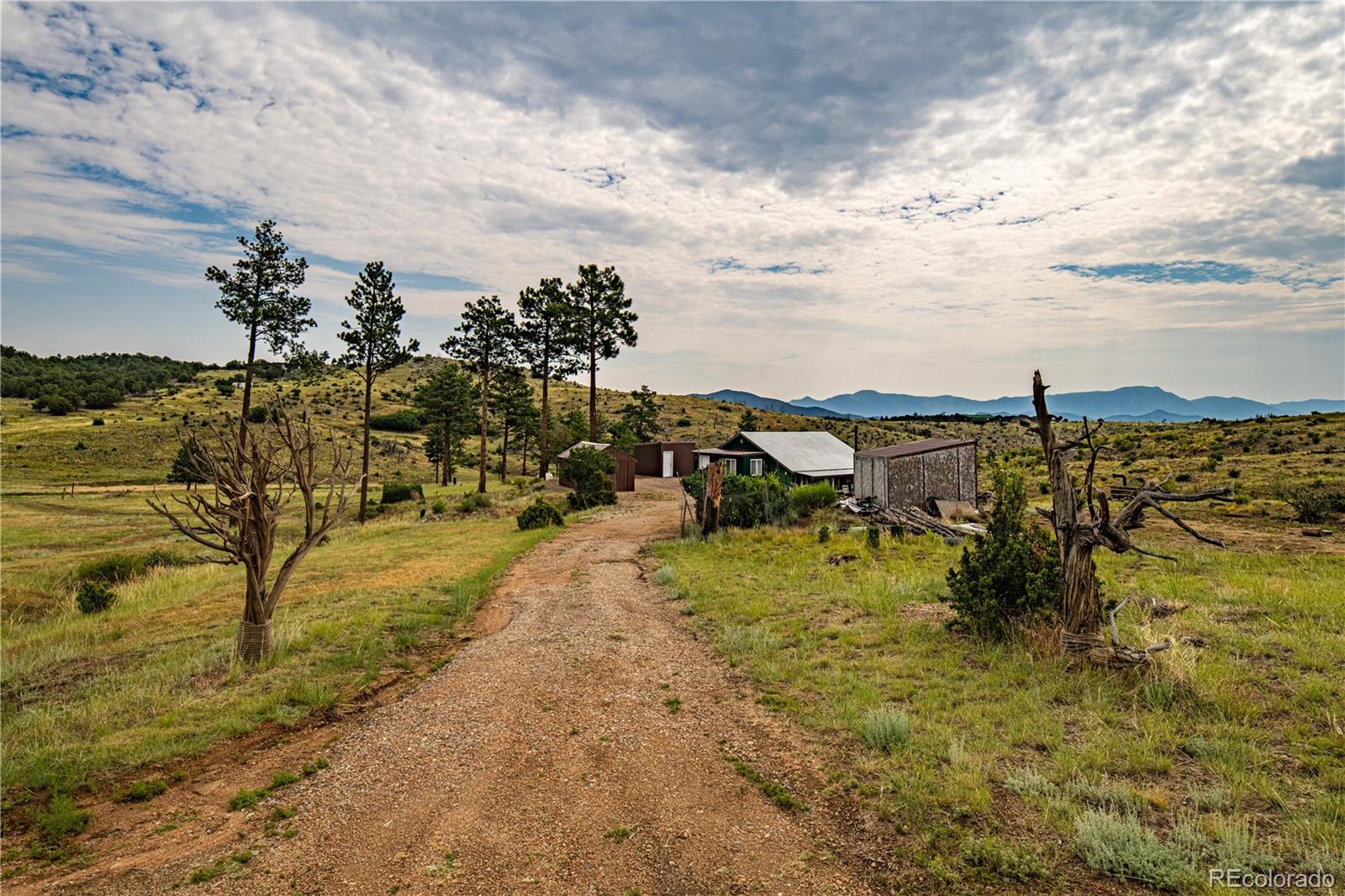 92 Carpenter Trail Cotopaxi CO 81223