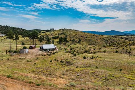 92 Carpenter Trail Cotopaxi CO 81223