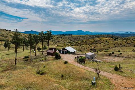 92 Carpenter Trail Cotopaxi CO 81223