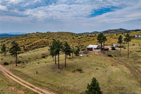 92 Carpenter Trail Cotopaxi CO 81223
