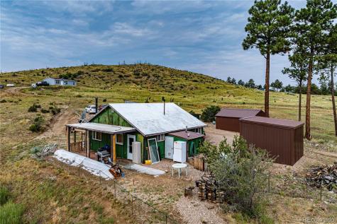 92 Carpenter Trail Cotopaxi CO 81223