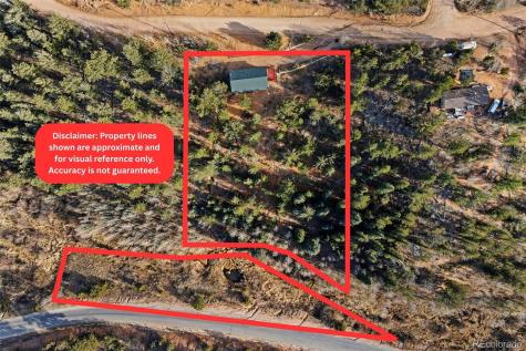 114 Hall Road Bailey CO 80421