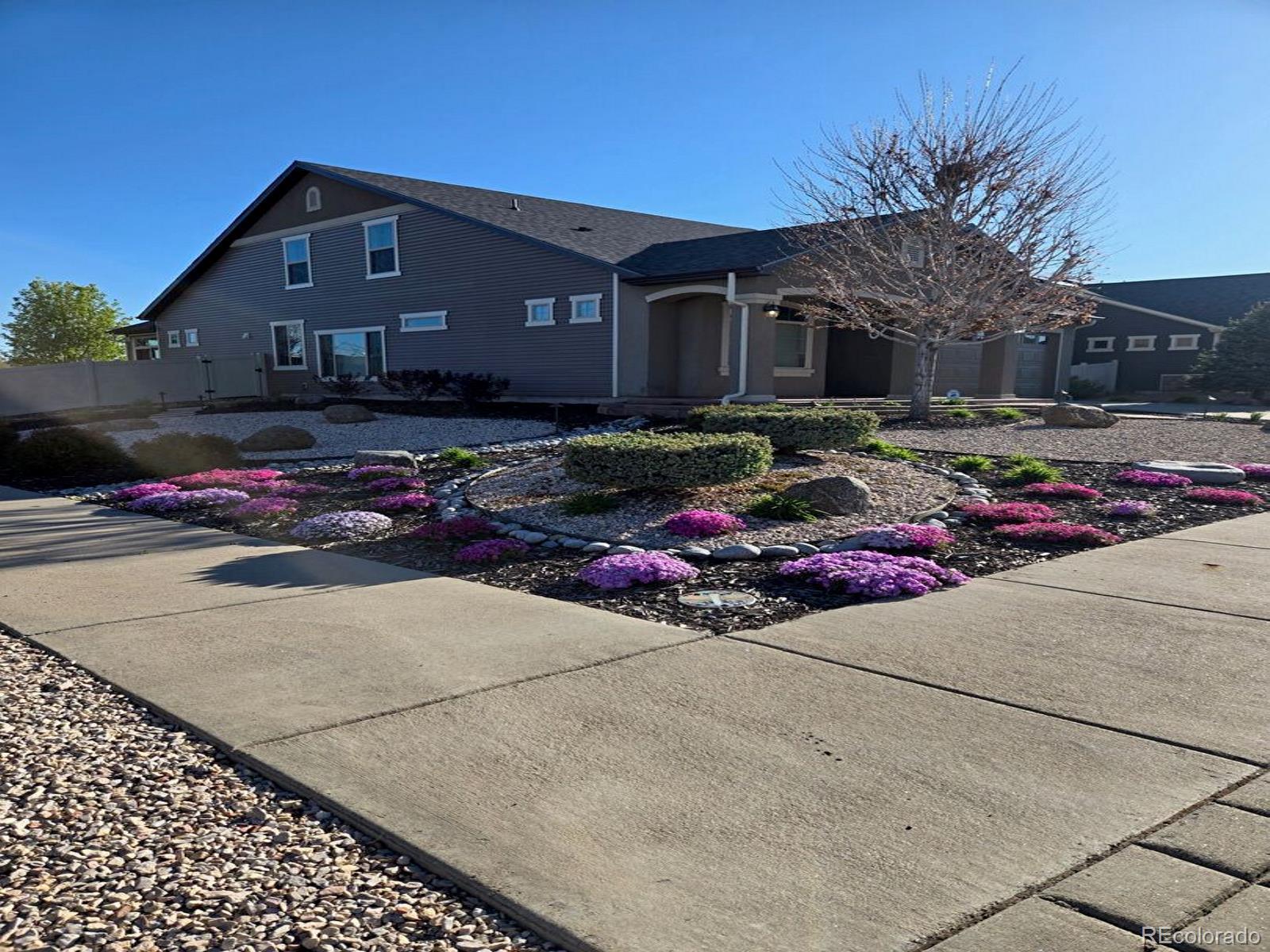 19509 E 55th Avenue Denver CO 80249