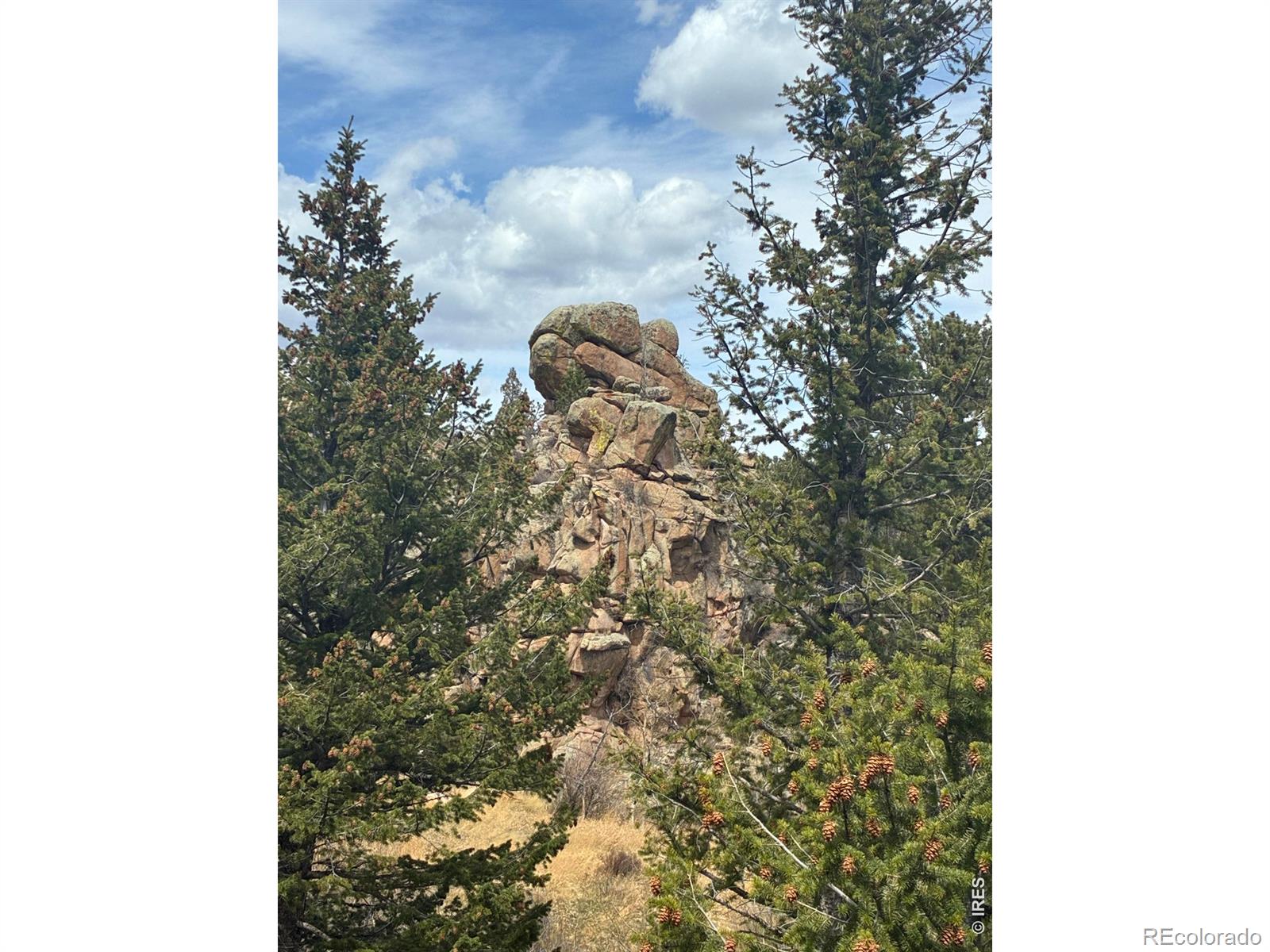 410 Monoma Road Red Feather Lakes CO 80545