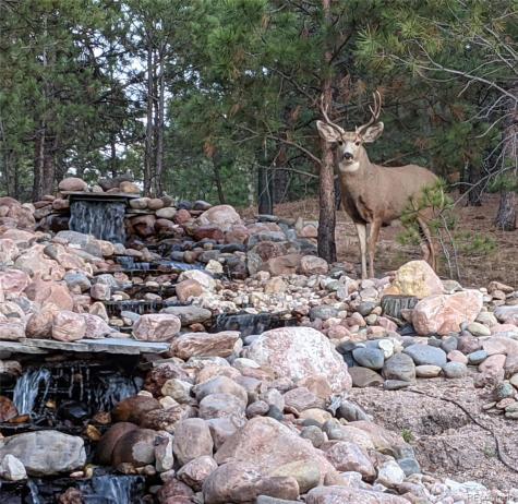 17045 Viscount Court Monument CO 80132