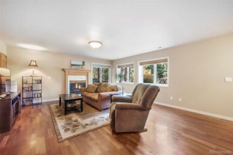 17045 Viscount Court Monument CO 80132