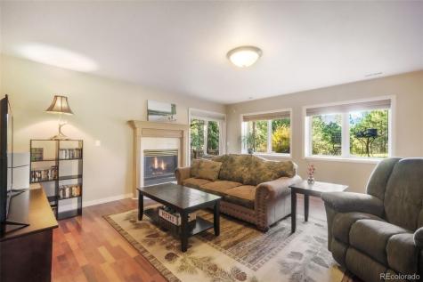 17045 Viscount Court Monument CO 80132