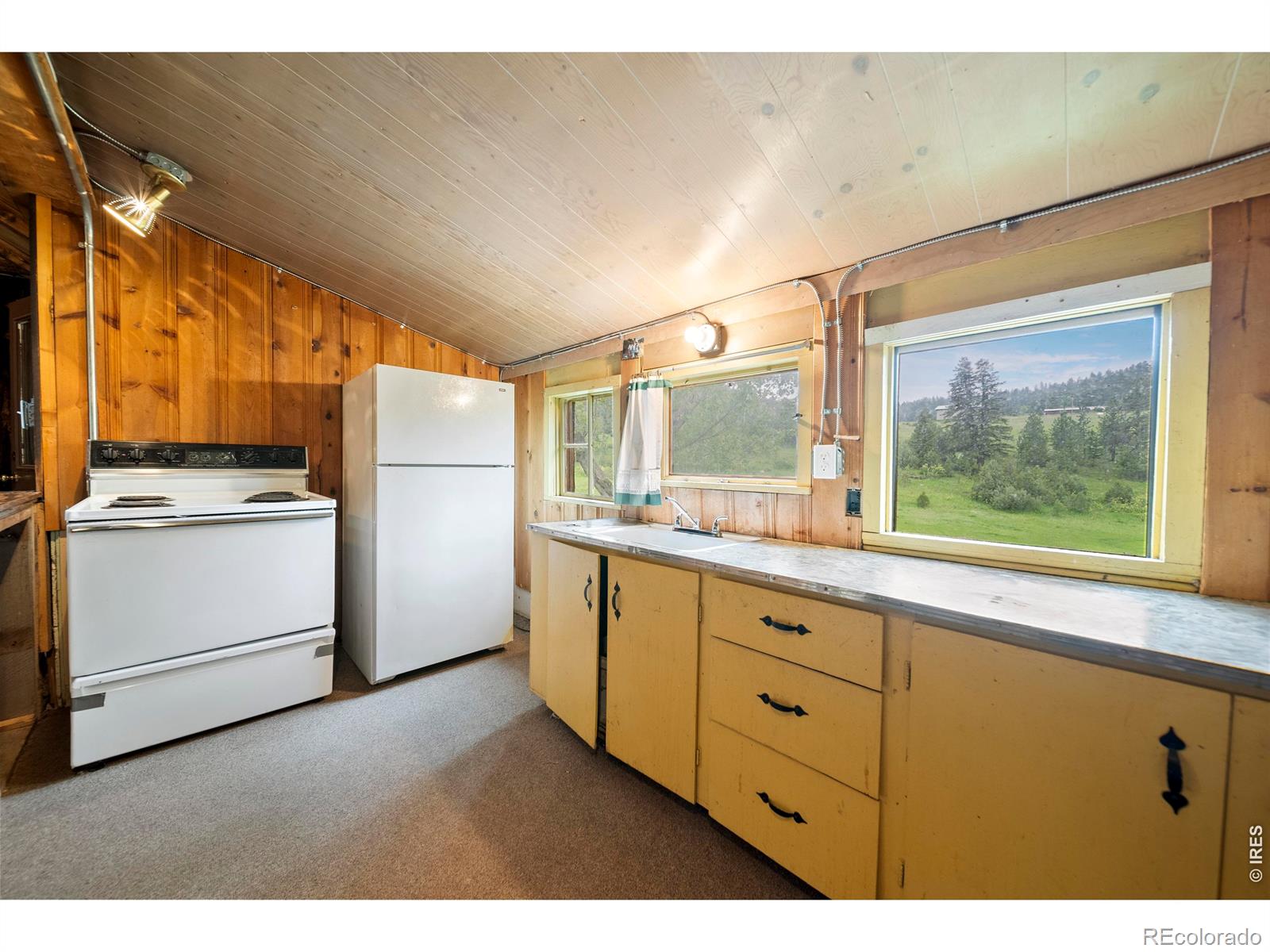 329 Snow Top Drive Drake CO 80515