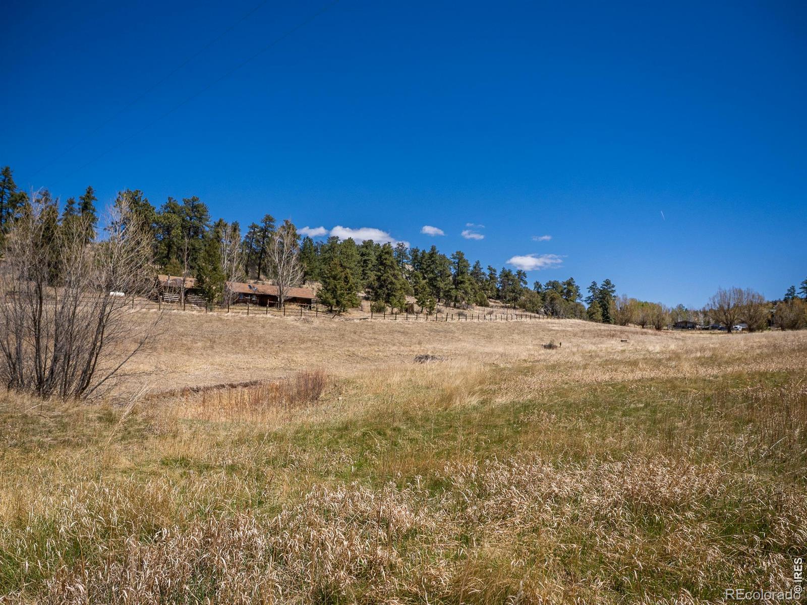 329 Snow Top Drive Drake CO 80515