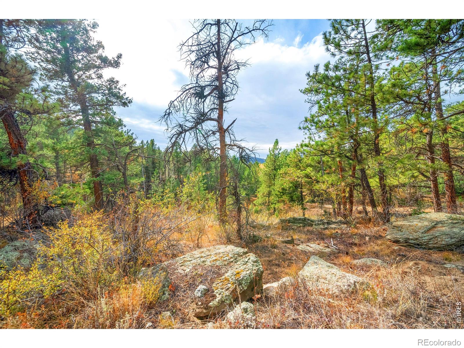 329 Snow Top Drive Drake CO 80515