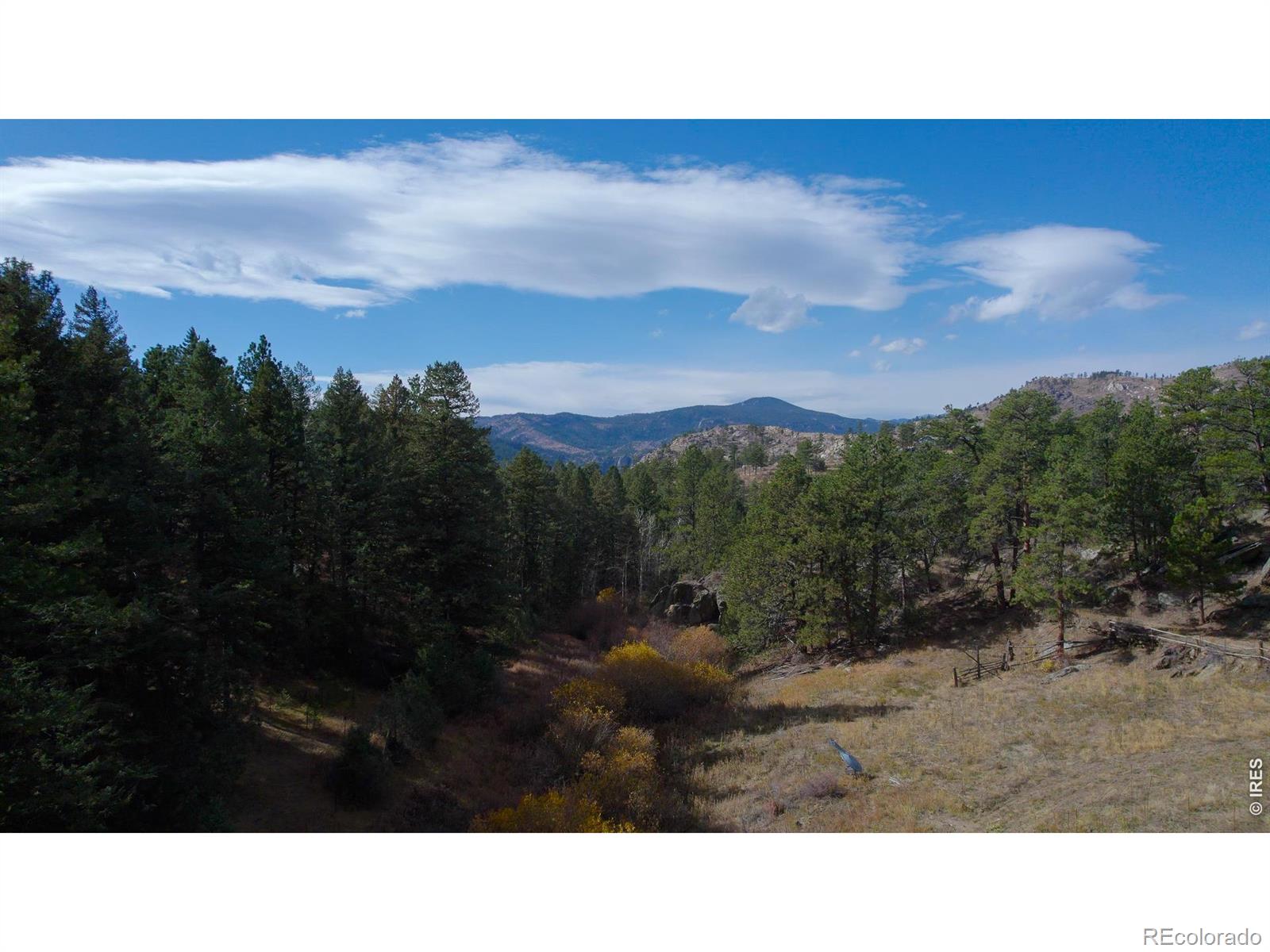 329 Snow Top Drive Drake CO 80515