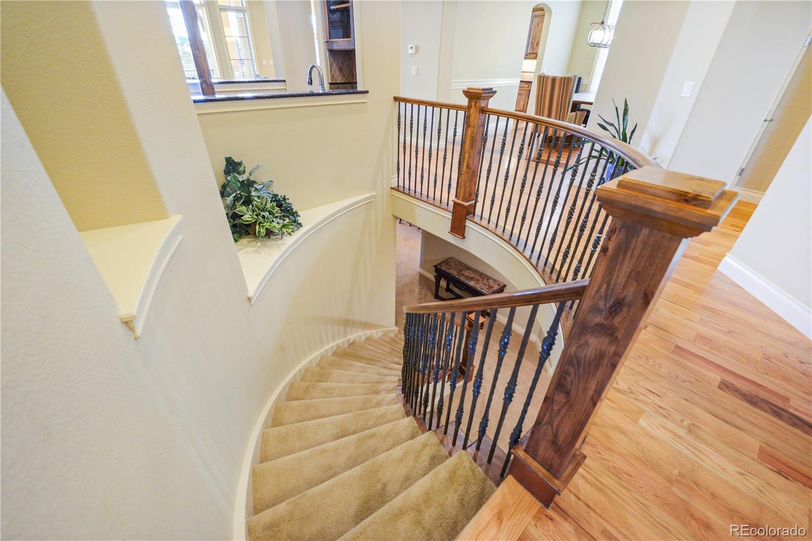 4616 Sonado Place Parker CO 80134