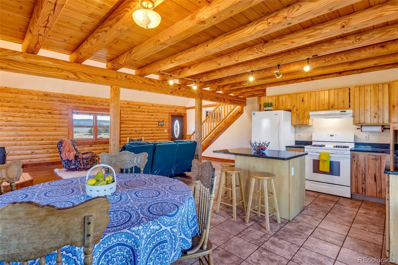 1528 Silverheels Road Fairplay CO 80440