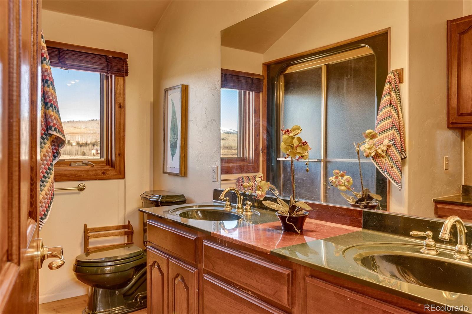 1528 Silverheels Road Fairplay CO 80440
