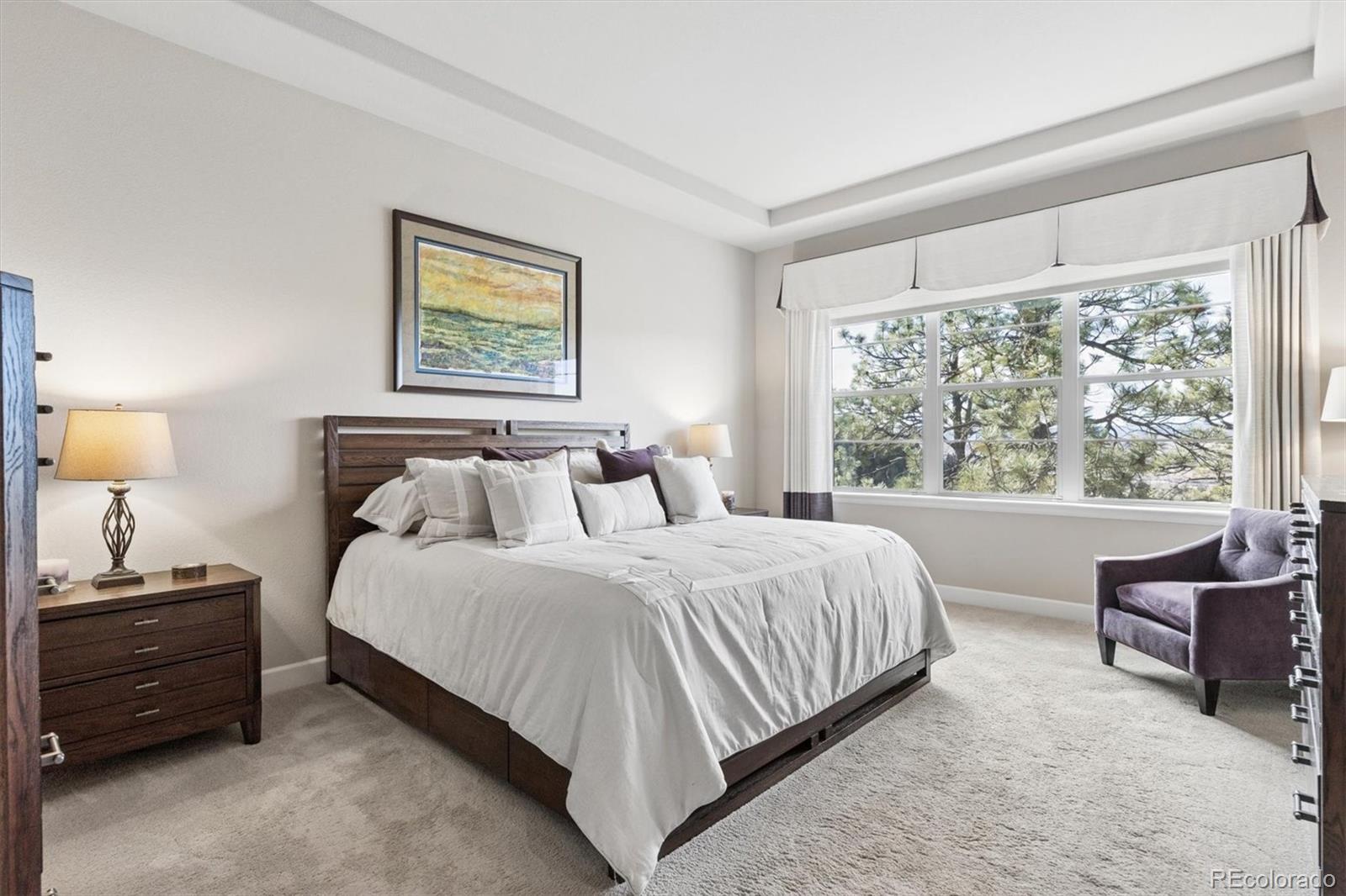 438 Galaxy Drive Castle Rock CO 80108