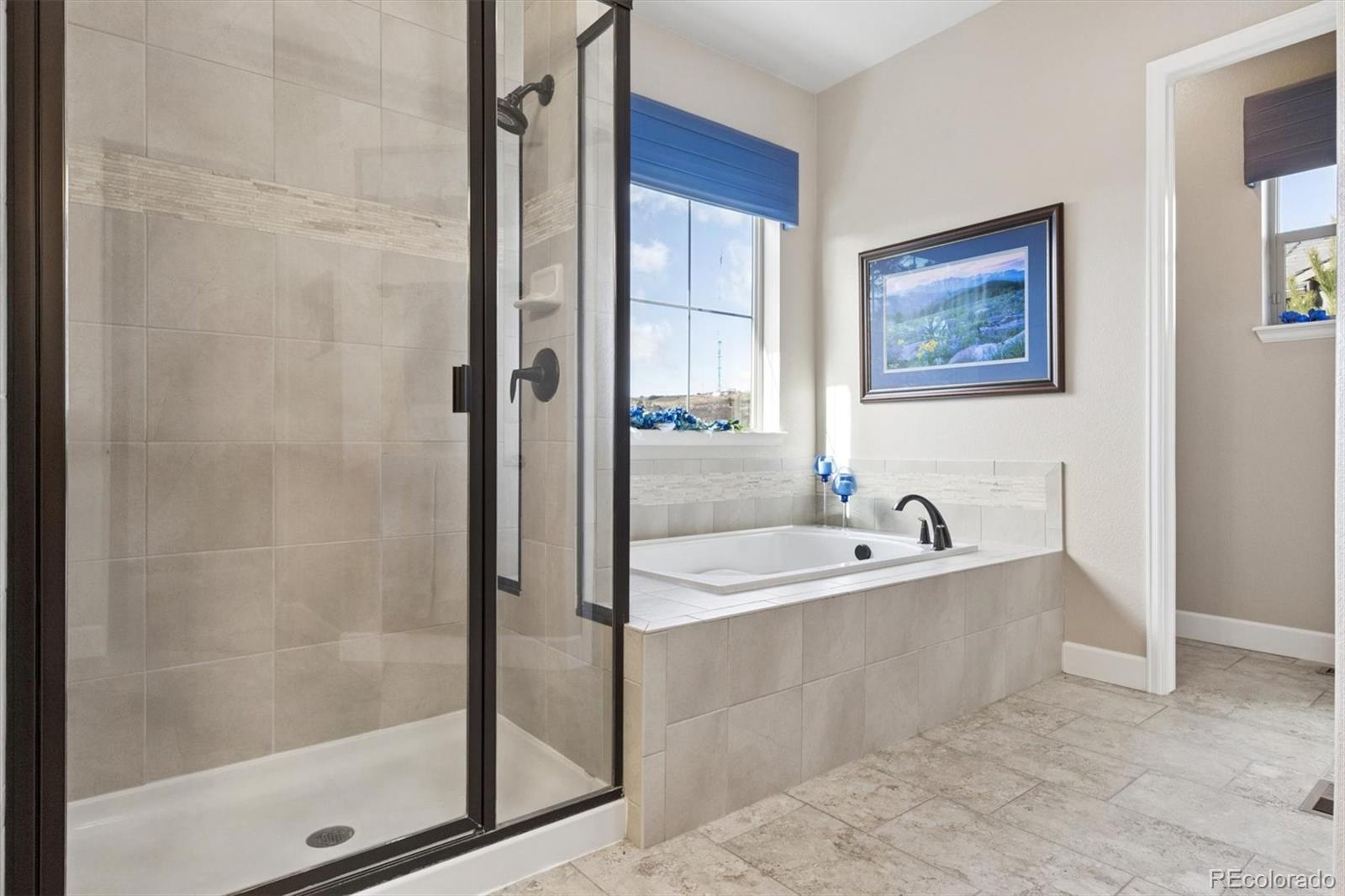 438 Galaxy Drive Castle Rock CO 80108