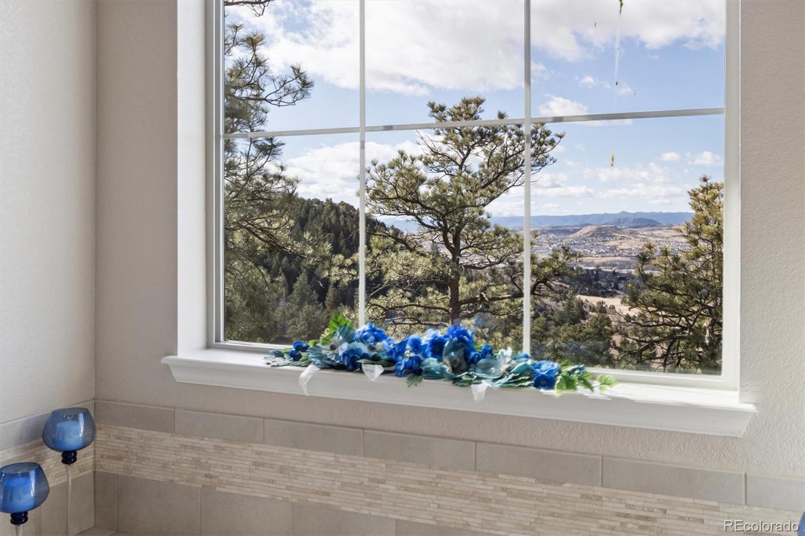 438 Galaxy Drive Castle Rock CO 80108