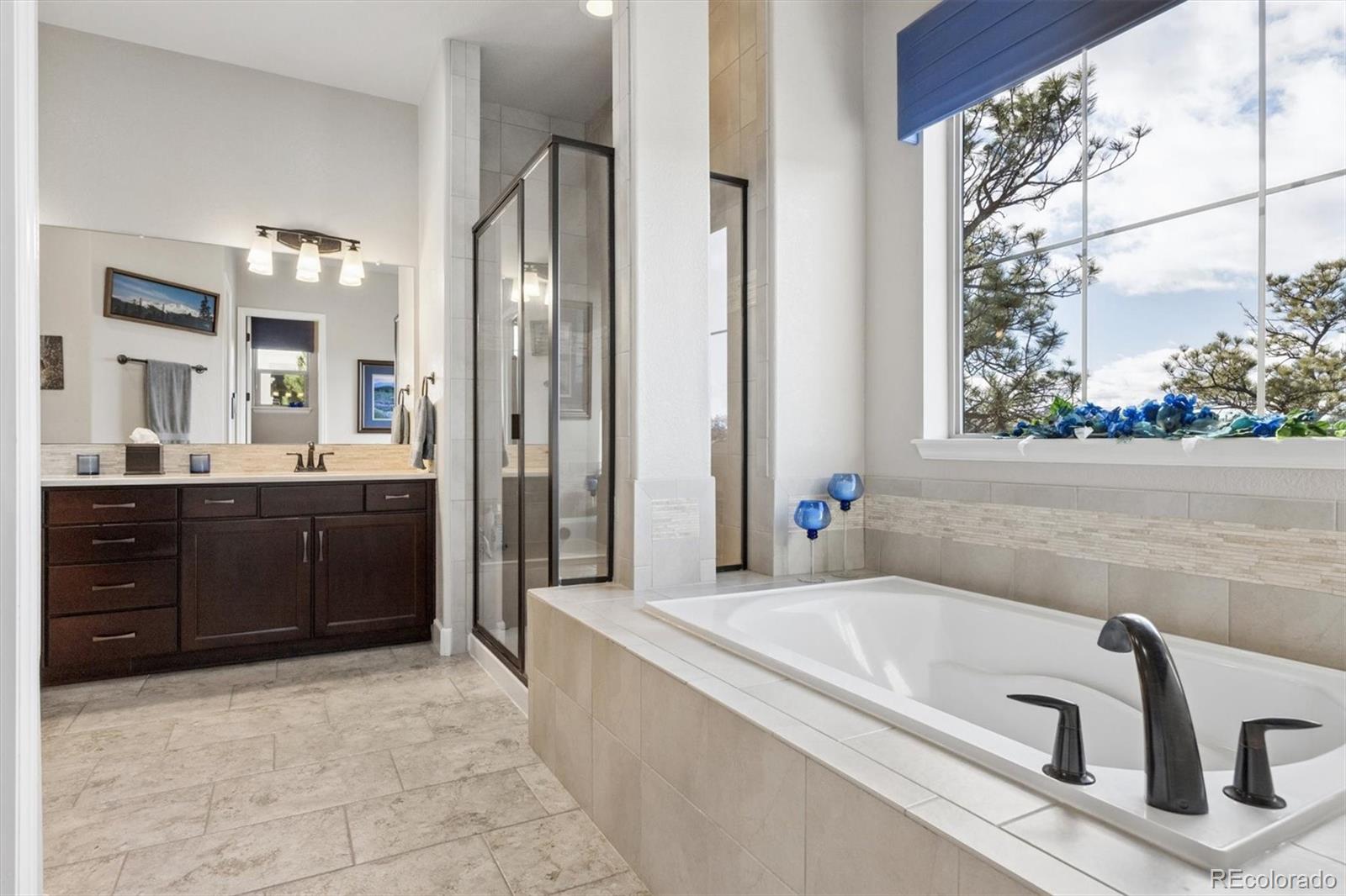 438 Galaxy Drive Castle Rock CO 80108