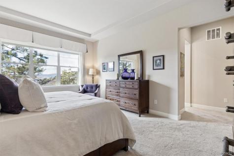 438 Galaxy Drive Castle Rock CO 80108
