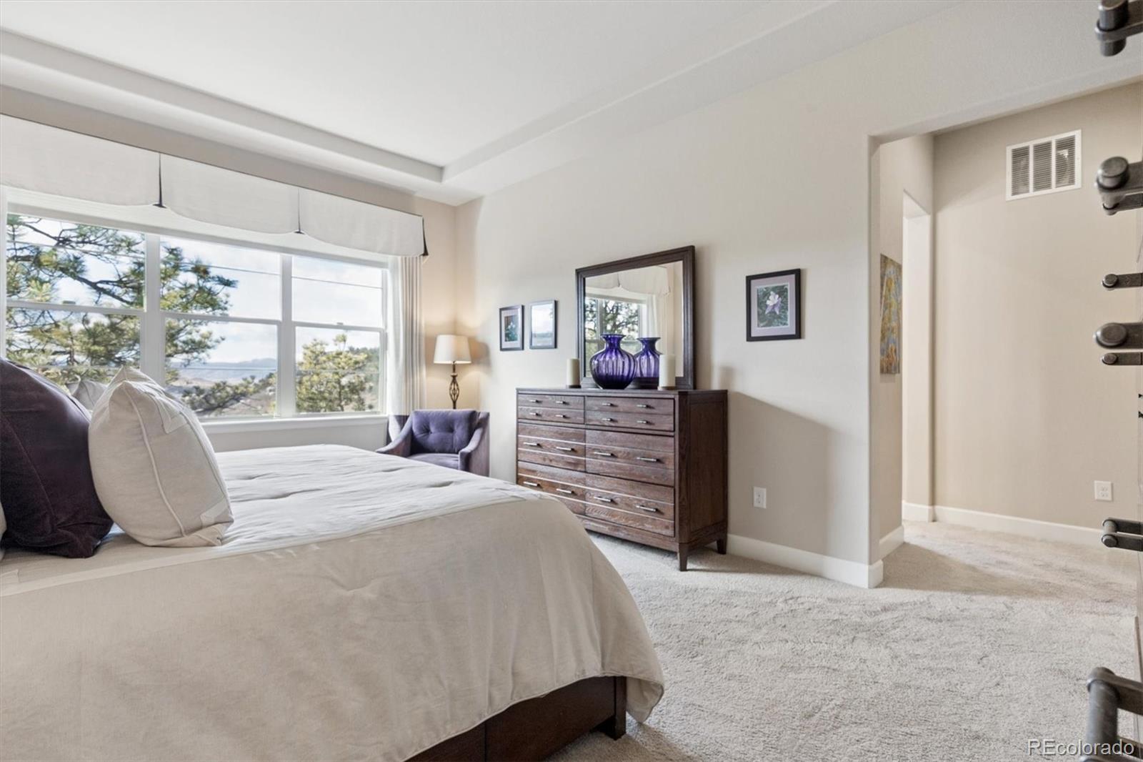 438 Galaxy Drive Castle Rock CO 80108