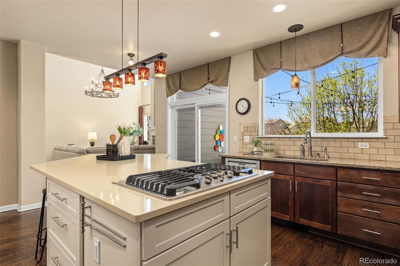 16498 E Black Horn Drive Parker CO 80134