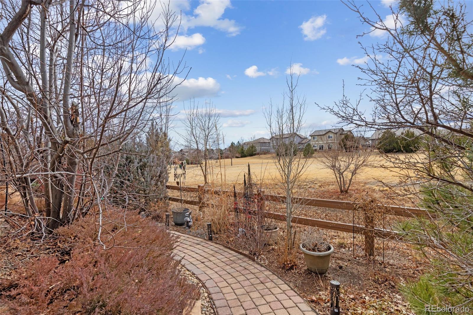 16498 E Black Horn Drive Parker CO 80134