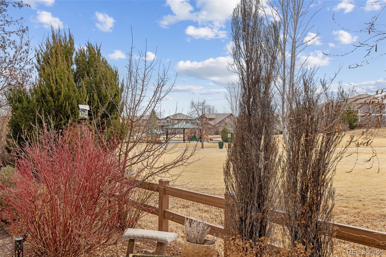 16498 E Black Horn Drive Parker CO 80134