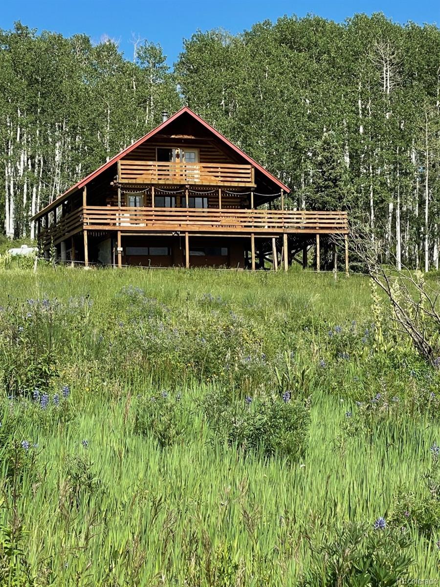 41014 Beaver Trail Lane Paonia CO 81428