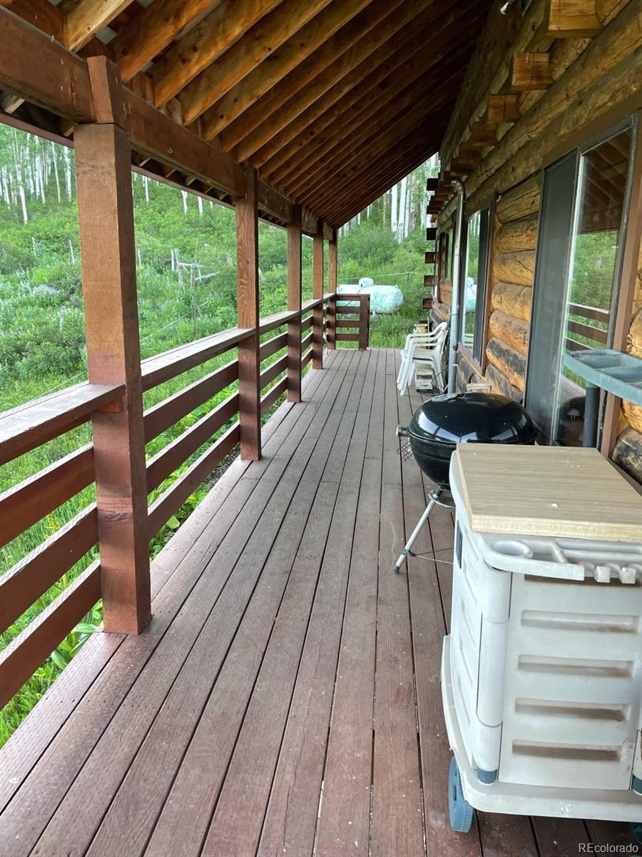 41014 Beaver Trail Lane Paonia CO 81428