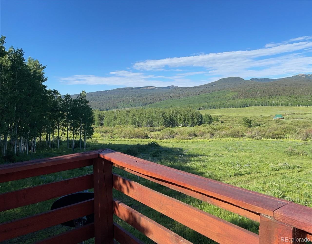 41014 Beaver Trail Lane Paonia CO 81428