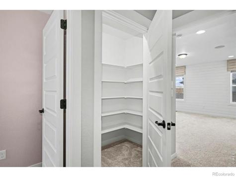 2124 Glean Court Windsor CO 80550