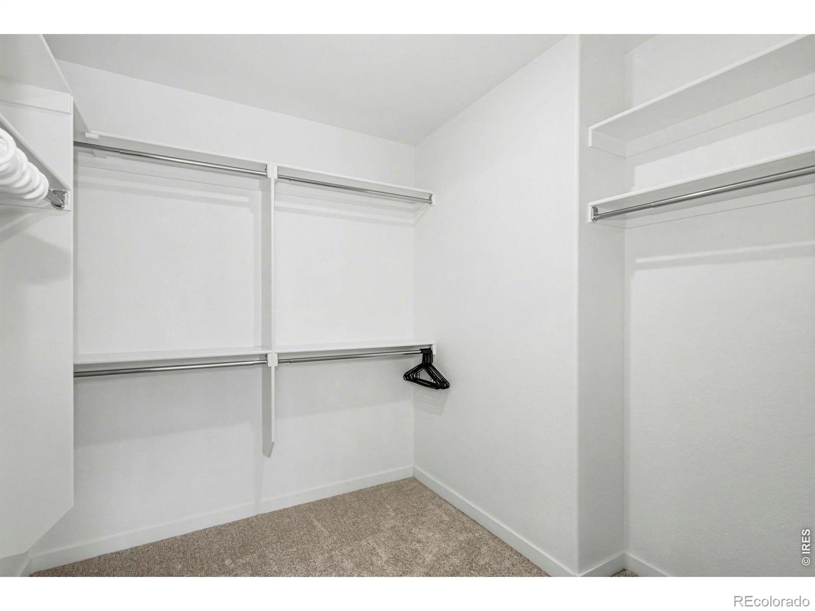 2124 Glean Court Windsor CO 80550