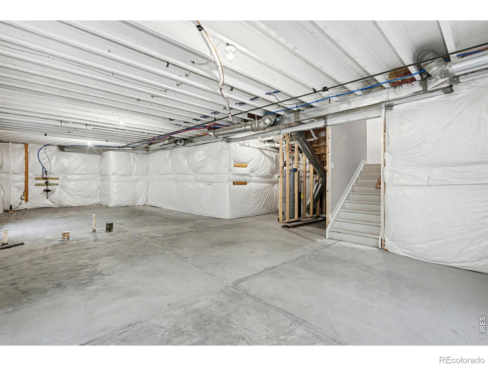 2124 Glean Court Windsor CO 80550