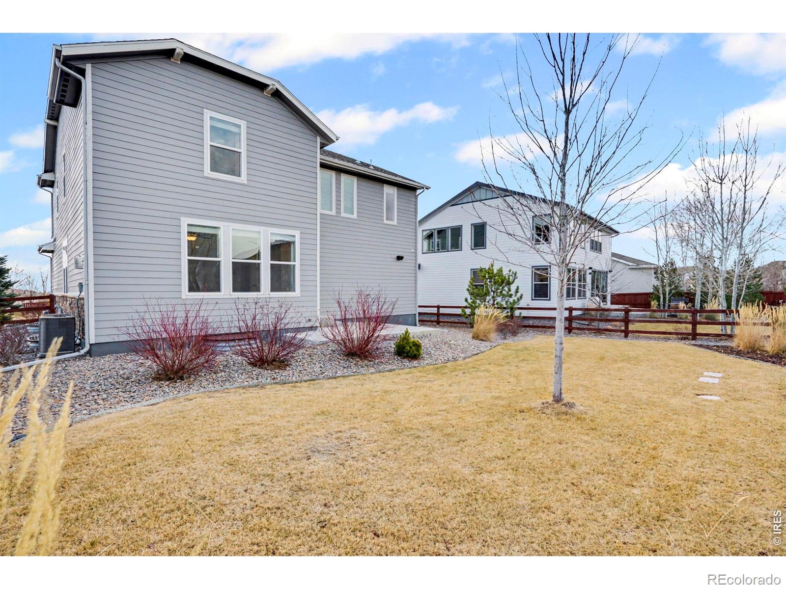 2124 Glean Court Windsor CO 80550