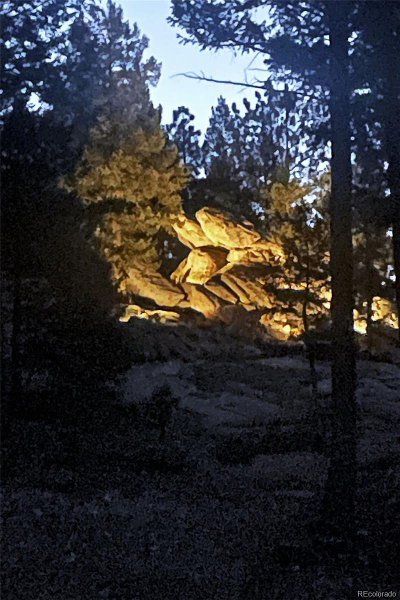 32651 Buffalo Creek Road Evergreen CO 80439