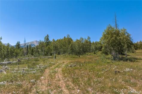 0 Whetstone Drive Silverthorne CO 80498