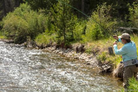 0 Whetstone Drive Silverthorne CO 80498