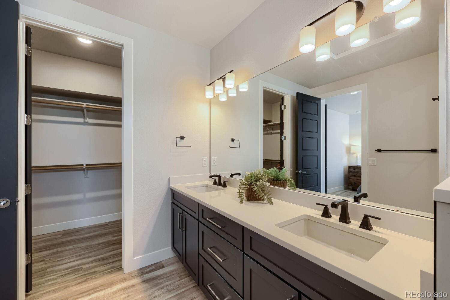 2571 Palau Way Castle Rock CO 80109